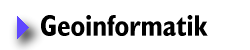Geoinformatik